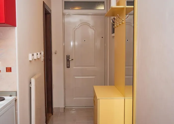 公寓 Aleksandar 兹拉蒂博尔